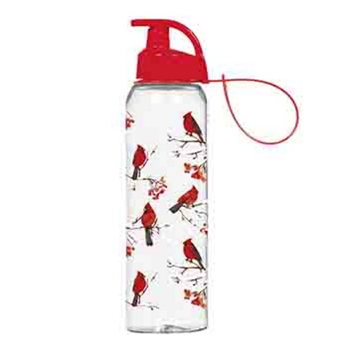 Бутылка для спорта Herevin Red Bird 161405-330 (750 мл)