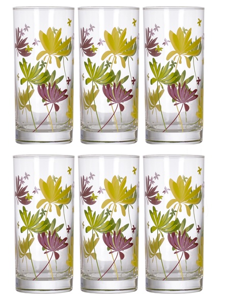 Набор стаканов Luminarc Crazy Flowers  N0753 (270 мл, 6 шт) 